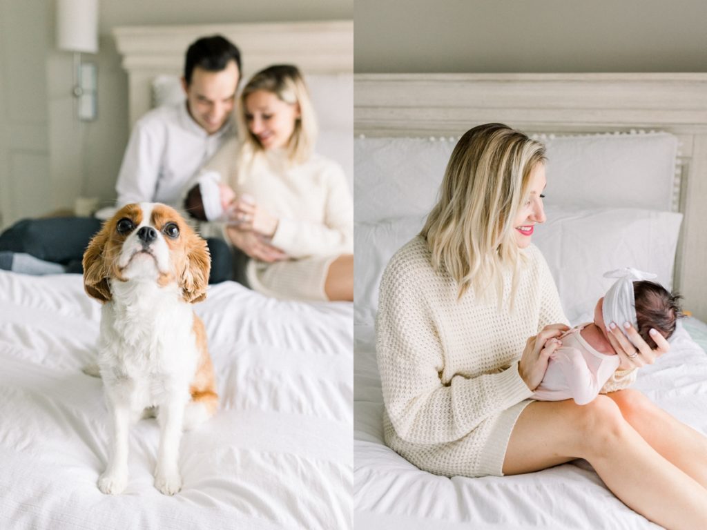 lifestyle newborn photos with dog