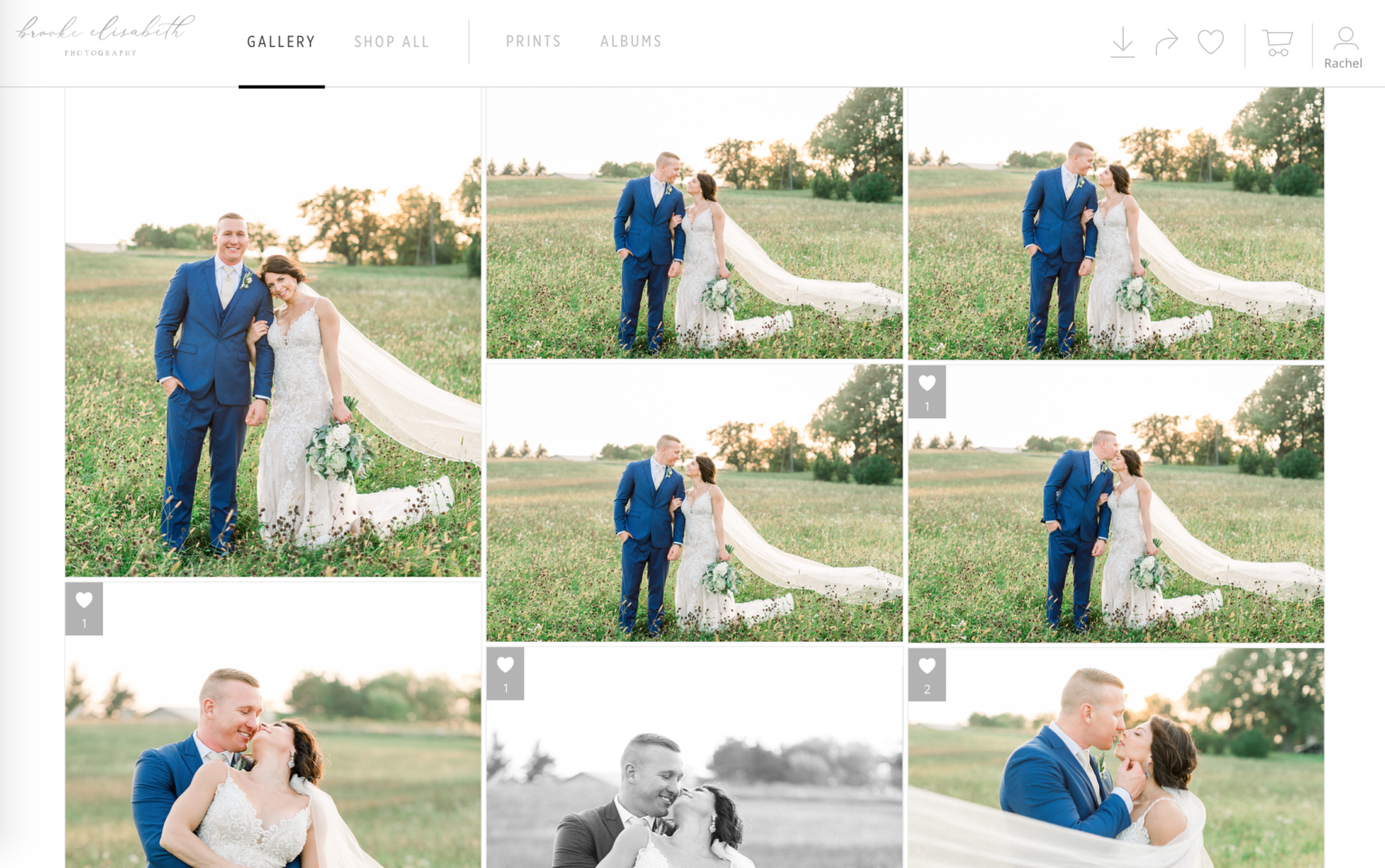 How to Use your PASS Gallery Brooke Elisabeth Photography