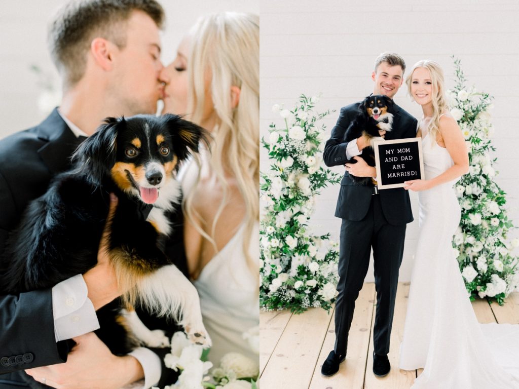 Wedding with a dog